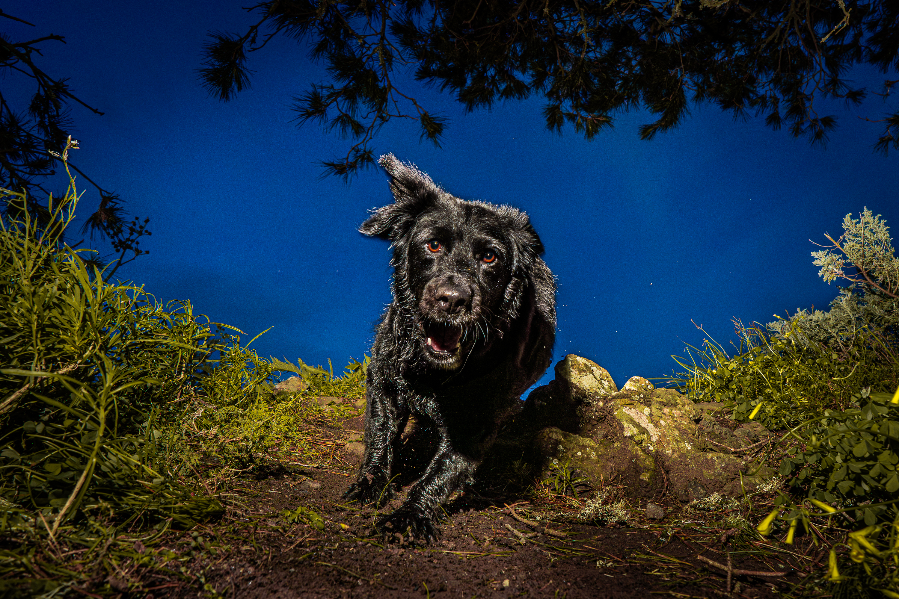 DSC06761-Mejorado-NR