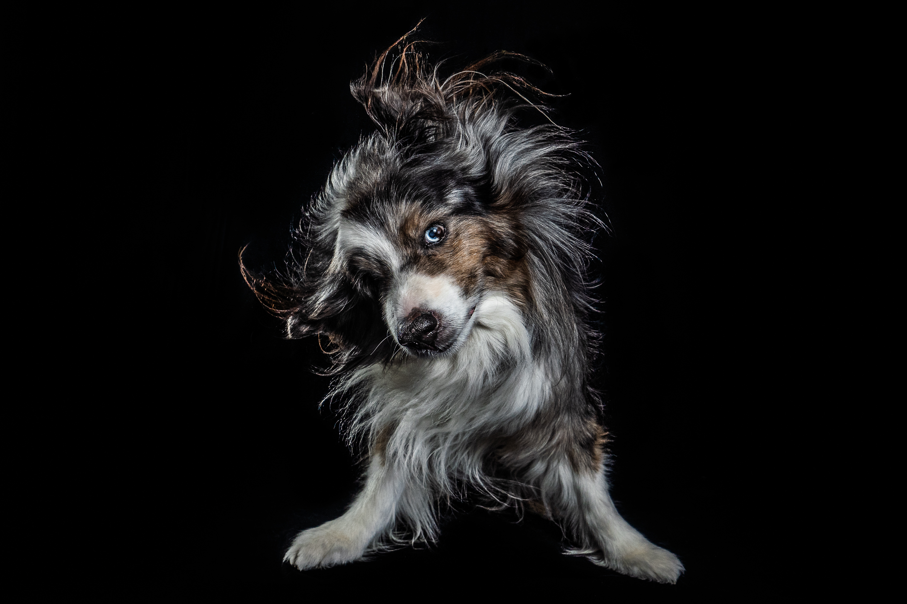 DSC07159-Editar-Editar